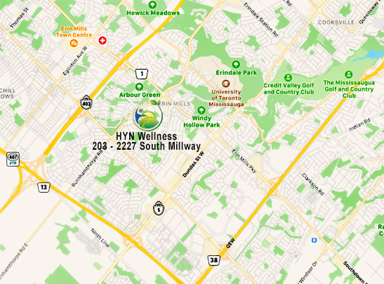 Iridologist Solutions